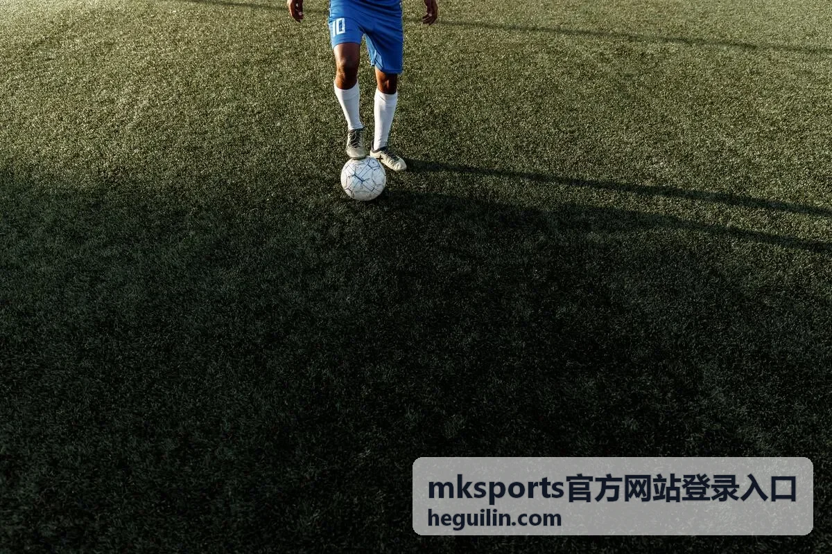 mksports官方网站登录入口账号安全指引与登录步骤示意配图