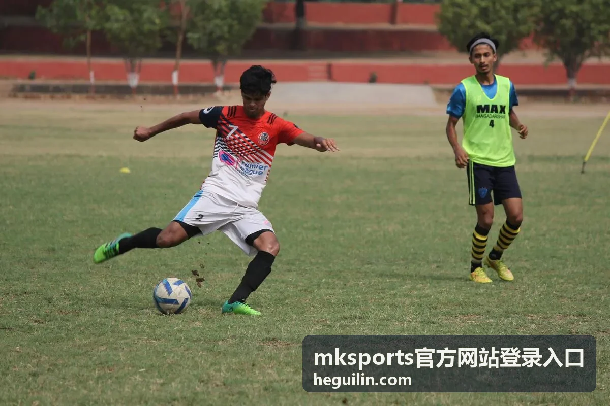 mksports官方网站登录入口操作流程配图