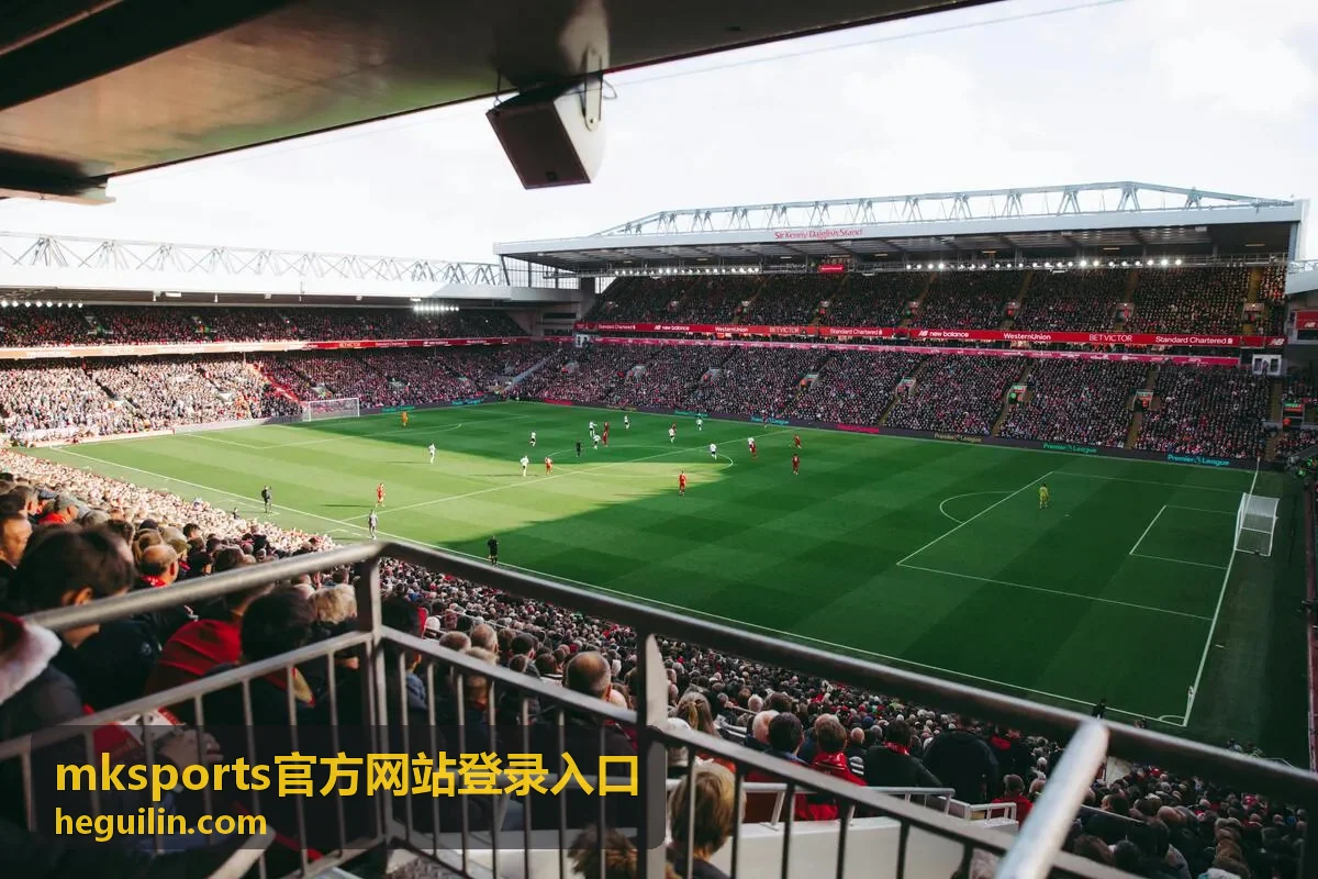 mksports官方网站登录入口账号安全注意事项说明配图