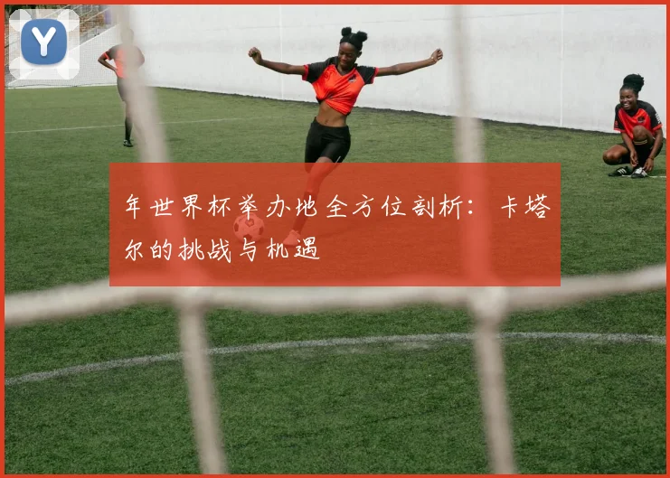 年世界杯举办地全方位剖析：卡塔尔的挑战与机遇