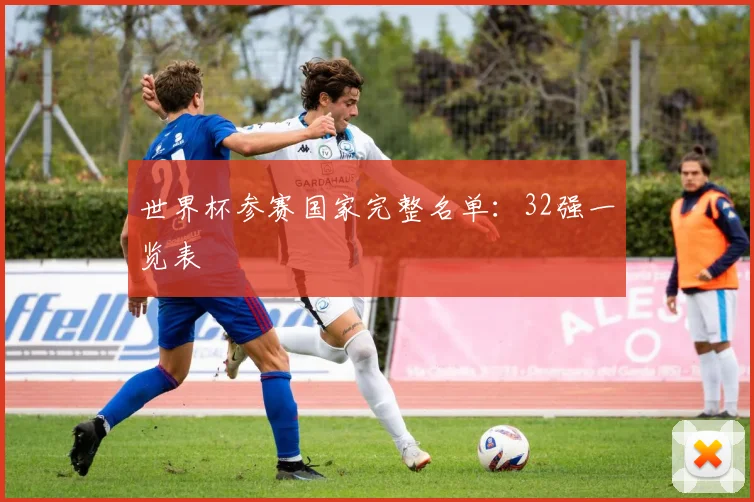 世界杯参赛国家完整名单:32强一览表