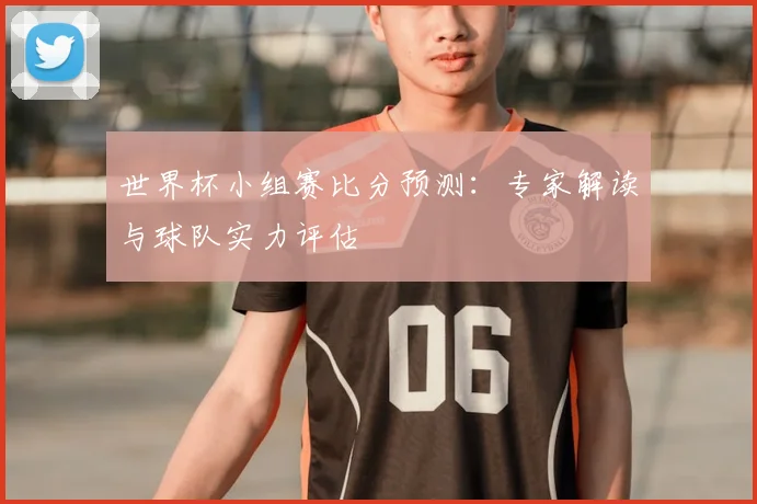 世界杯小组赛比分预测:专家解读与球队实力评估