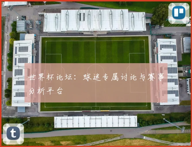 世界杯论坛:球迷专属讨论与赛事分析平台
