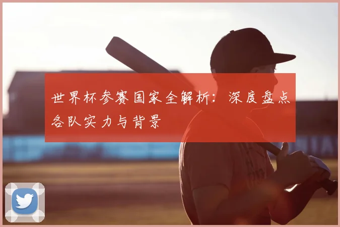 世界杯参赛国家全解析:深度盘点各队实力与背景
